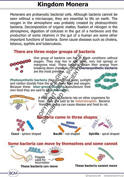 poster/BCA4.jpg poster/BCA4.jpg