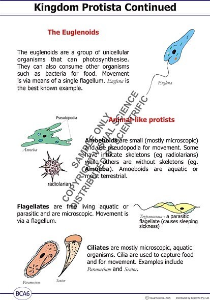 poster/BCA6.jpg poster/BCA6.jpg