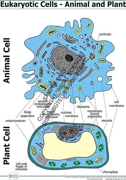poster/BCE2.jpg poster/BCE2.jpg
