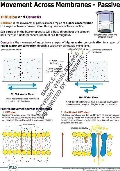 poster/BCE5.jpg poster/BCE5.jpg