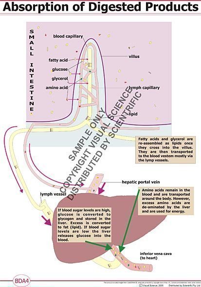 poster/BDA4.jpg poster/BDA4.jpg