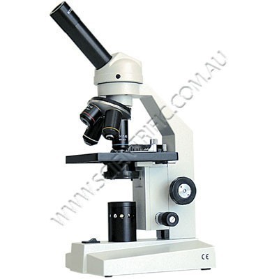 Microscope image