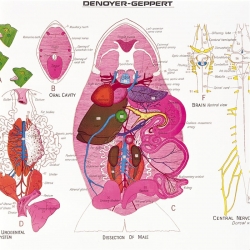 Click to enlarge 1891-10_DETAIL1.jpg