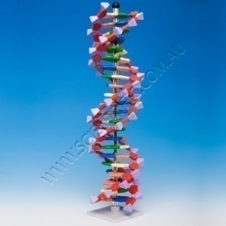 AMDNA-060-22 Small image