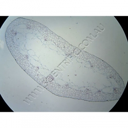 K1591 Small image