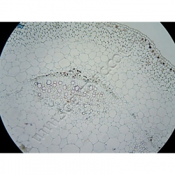 K1616 Small image