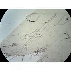 K1627 Small image