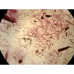 K1630 Small image
