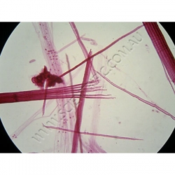 K1631 Small image