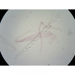 K1632 Small image