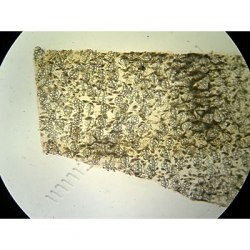 K1854 Small image