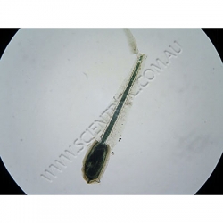 K1857 Small image