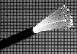 View the product Small image