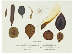 Click to enlarge k1230.jpg