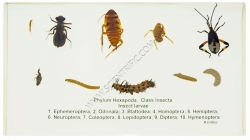 K1308B Small image