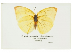 K1324 Small image