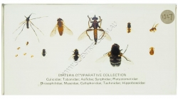 K1327 Small image