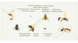 K1330B Small image