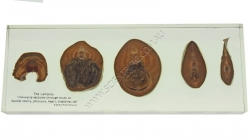 K1340B Small image